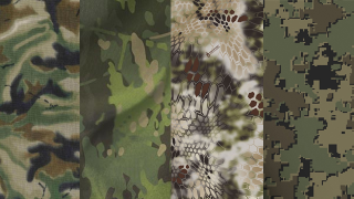 Illustration for article titled The History of Invisibility and the Future of Camouflage